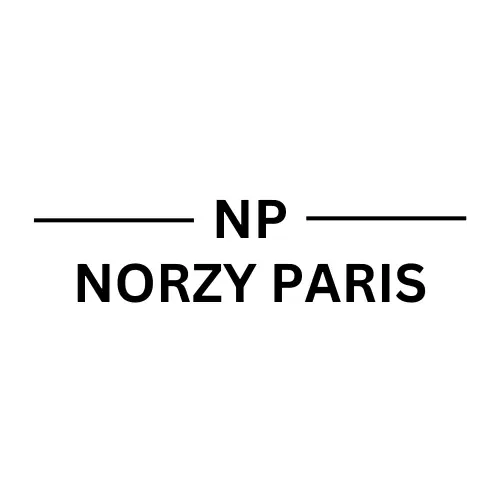 Norzy Paris logo for western dresses and party wear collections